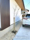 シンプルモダンを追求した平屋建ての外構　... シンプルモダンを追求した平屋建ての外構　...