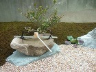 自然石を手水鉢がわりに