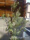 ブラック×木目の組み合わせがカッコいい新... ブラック×木目の組み合わせがカッコいい新...