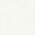 フロストホワイト製品画像