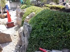 高崎市 造園 外構 「四季を感じ心癒され...