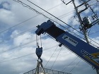 電線回避 電線回避
