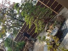 太田市M様邸｜造園｜外構工事｜本鞍馬の庭 20151024_115347.jpg