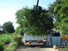 高崎市F様邸｜植栽の力で奥行きと目隠しを創る。造園・外構リフォーム｜田...