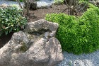 前橋市H様邸|「石門」と「赤松」が織りなす四季の庭。図面を超えた現場の...