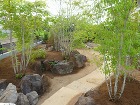 羽生市A様邸|明治の記憶を継ぎ、新たな時...