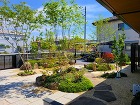 キャンペーン