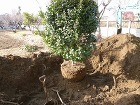 千代田町A様邸|記憶を継承し、機能を纏う...
