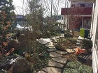 館林市 造園 外構 「落ち葉も楽しむ雑木...