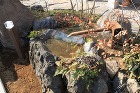 館林市 造園 外構 「落ち葉も楽しむ雑木...