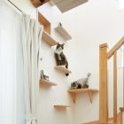 愛猫も喜ぶ「ネコさま仕様」の住まい｜注文...
