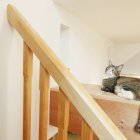 愛猫も喜ぶ「ネコさま仕様」の住まい|注文...