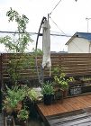 黒谷の庭 | green + garde... 黒谷の庭|グリーンプラスガーデン タマン...