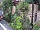 WORKS REPORT | green...