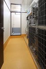 動物病院設計・動物病院新規開業・動物病院... http://www.kt.rim.or.jp/~komoda/work/image/gonta/g121.jpg