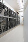 動物病院設計・動物病院新規開業・動物病院... http://www.kt.rim.or.jp/~komoda/work/image/chiyono/21091.jpg