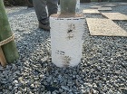 職人?天野一仁の新作品?アウトドアブーム... 左官技術で擬木の白樺 本物そっくり これ...