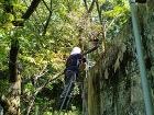 ホテルの庭園を管理する天野さん
