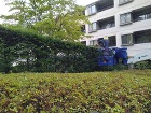 山中湖村にて庭園管理剪定、伐採?善き作品... /up_img/new/202/new_00020210.jpg