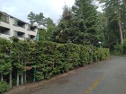 山中湖村にて庭園管理剪定、伐採?善き作品... 綺麗な作品となりました?