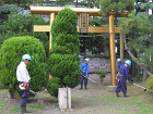 芝生管理・草刈り | 渡城造園 | 山梨... 芝生管理・草刈り