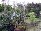植木直販売場 | 渡城造園 | 山梨県富... 植木直販売2