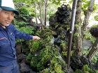 癒しの滝壺　