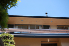 音羽町の家 - WORKS | 堺建築設... /works/otowacho/img/020.jpg