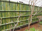 竹垣施工例　　造園・庭造り、植木の剪定は... /imge/P3260926.jpg