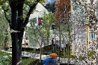 1000坪の森をつくる | EA Res...