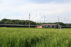 田園の家 | 株式会社SYNC