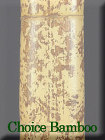 Choice Bamboo