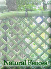 Natural Fences