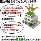 屋上緑化ならこんなメリットが!!1.ヒートアイランドを緩和!2.消費電力を削減!!3.購入時の費用も安い!それ以外でも!!1.周辺環境にやさしい♪2.景観を保全♪3ヒーリング効果も♪など、様々な利点があります!だから大日化成は屋上緑化をオススメします!! 屋上緑化ならこんなメリットが!!1.ヒートアイランドを緩和!2.消費電力を削減!!3.購入時の費用も安い!それ以外でも!!1.周辺環境にやさしい♪2.景観を保全♪3ヒーリング効果も♪など、様々な利点があります!だから大日化成は屋上緑化をオススメします!!