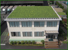 屋上緑化でヒートアイランド現象の緩和に貢... 金属屋根緑化工法施工例