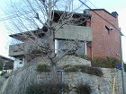 西向きの家 阪神間モダニズム住宅 hanshinkan/wp-content/uploads/fd1e736d9f6e071d59babe4537c86da2.jpg