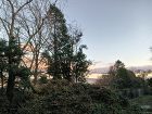 静岡県沼津市で造園と外構工事を行う株式会... https://iguchizouen.com/wp2/wp-content/uploads/1000001343-300x226.jpg