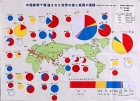 作品:「中国新聞で報道された世界の国と紙面の面積」 作品:「中国新聞で報道された世界の国と紙面の面積」