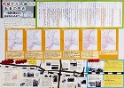 作品：地図から読みとった長良の歴史?地図を重ねたら何がわかったか？?