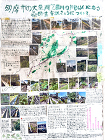作品：多摩市の大栗川、乞田川の川沿いにある桑の生育状きょうについて