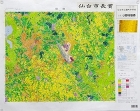作品：「土地利用図　成田」