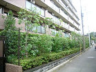 民間事業のマンション緑地管理 | 藤沢造... /civilian/example/apartment/images/image_mansion02d.jpg