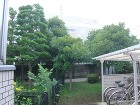 民間事業のマンション緑地管理 | 藤沢造... /civilian/example/apartment/images/image_mansion03a.jpg