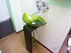 コンパクトでも個性的な手洗い器の施工例