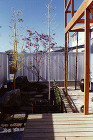 自邸 works/house/kawano/niwa.jpg