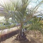 Play Garden（株式会社プレイガ... https://www.playgarden.jp/wp/wp-content/uploads/359660b567d2db74977b0786fddd88ce-480x480.jpg