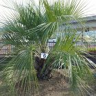 Play Garden（株式会社プレイガ...