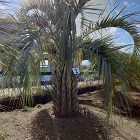 Play Garden（株式会社プレイガ... https://www.playgarden.jp/wp/wp-content/uploads/7f46991703cce3a59e6335bf85b0c065-480x480.jpg