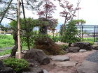 和風庭園施工例４(山灯篭と赤松の庭)山形...