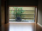 坪庭施工例９(純和風・数寄屋造りの四種の...